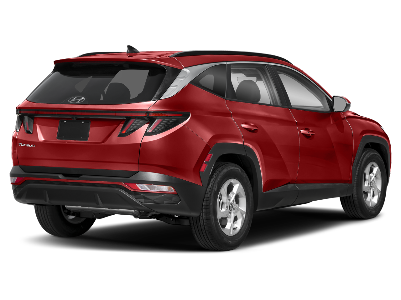 5NMJBCAE5PH254209